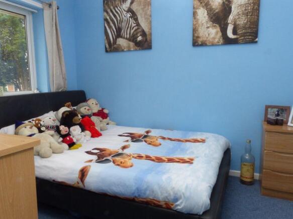 Photo 13