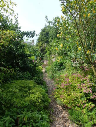 Back Garden