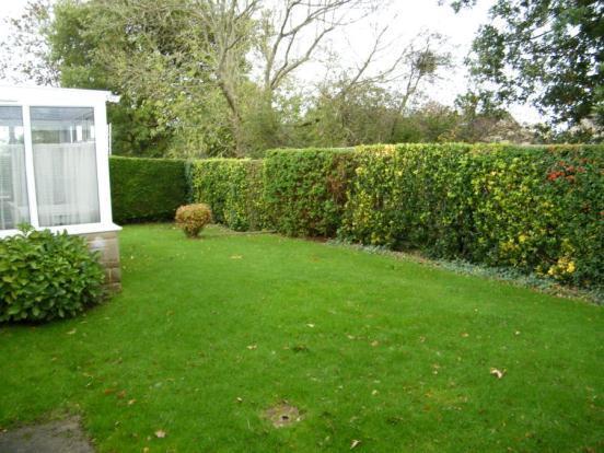 Rear Garden 1
