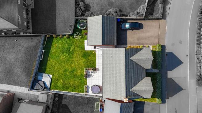 Plot View