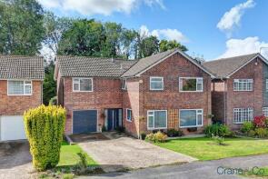 50, Ingrams Way, Hailsham BN27 3NP