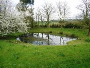 pond
