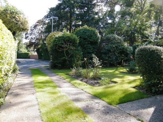 View From Driveway