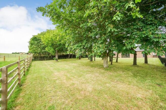 4 bed Detached to rent Image 8