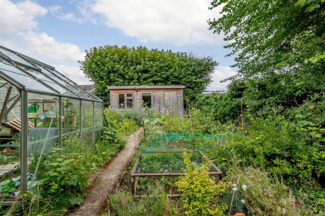 Veggie Patch
