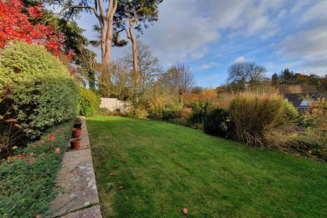Garden 1