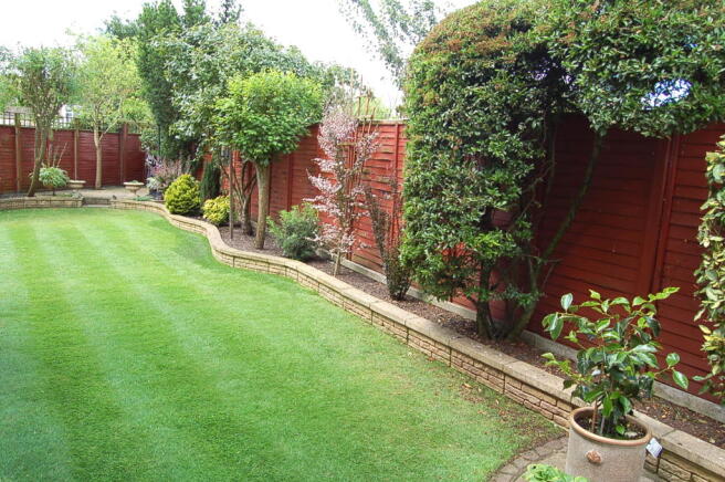 Photo 20