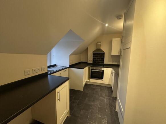 IMG 1819 Medium T202511111034.jpg