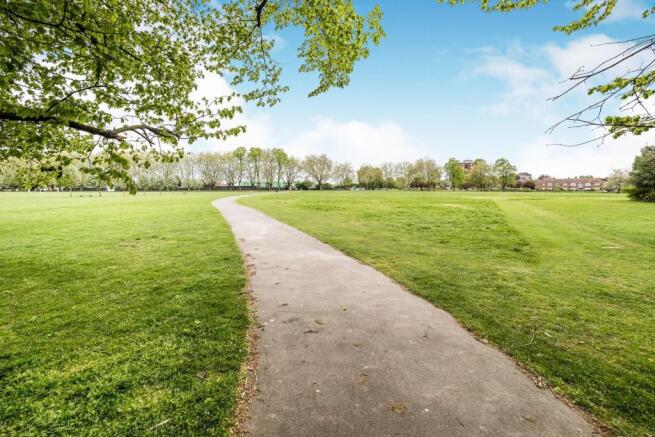 Nearby Park