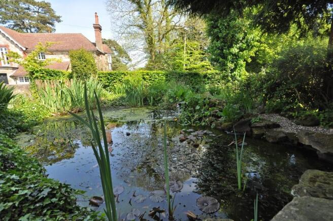 Pond