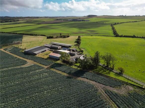 Lathones Farm