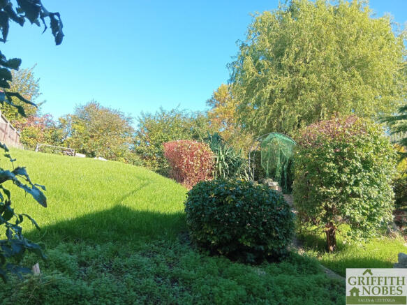 Elm Road Rear Garden