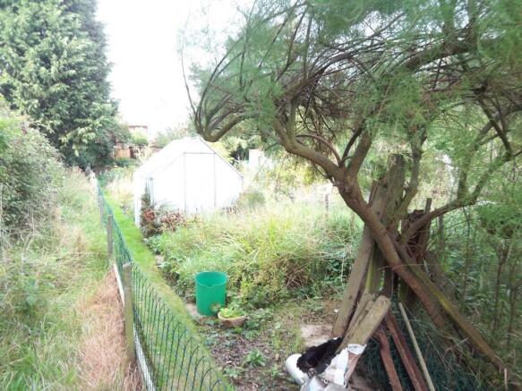 Lower garden