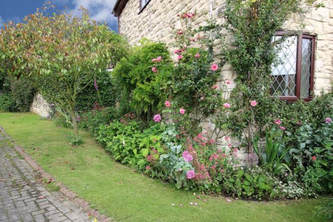 Side Garden