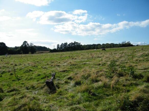 Field
