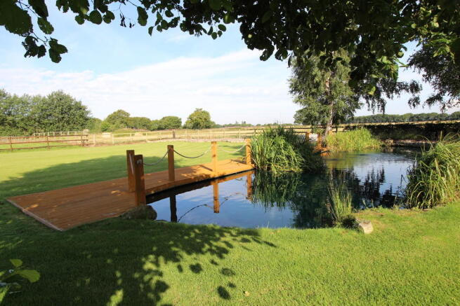 Fishpond