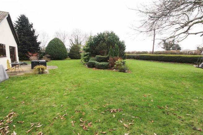 Garden(3)