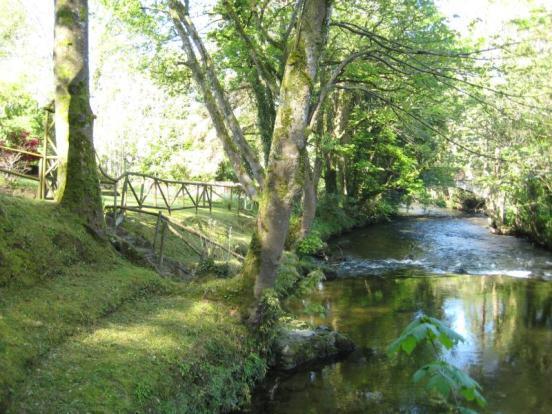 RIVER VIEW