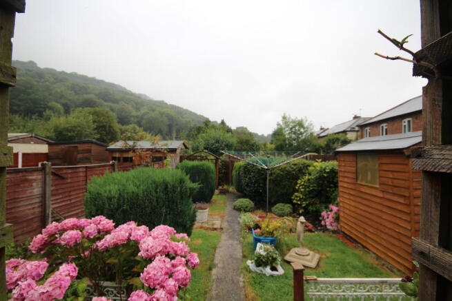 Photo 10