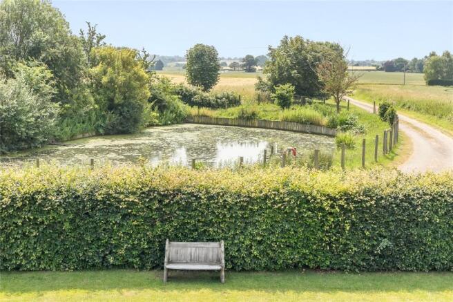 Pond