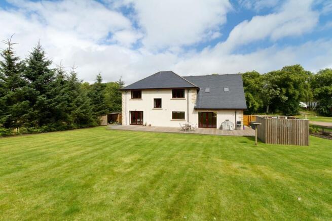 Back Garden