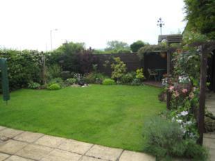 Back Garden