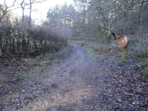 Track outside Forest House