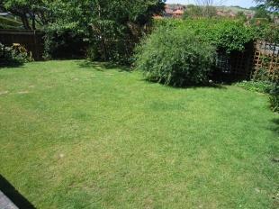 Rear Garden (2)