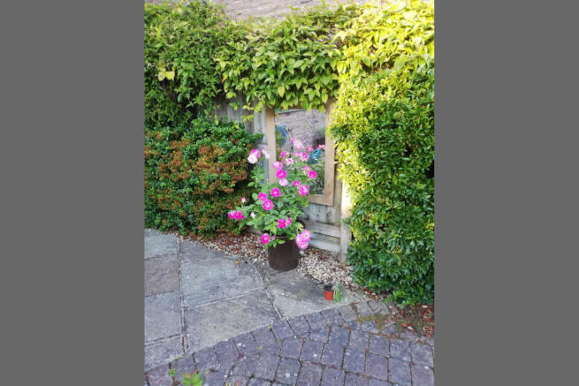 Vendor Garden 4.JPG