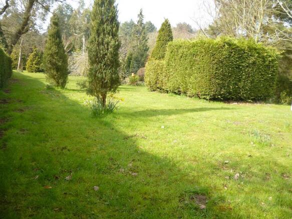 garden3