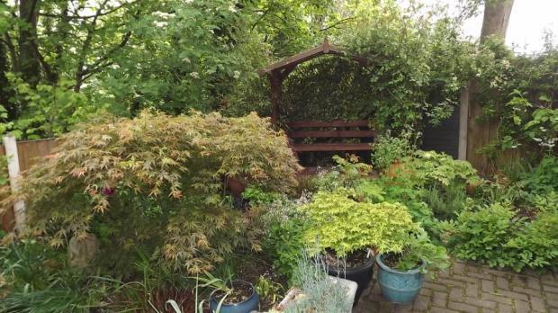 Garden 2