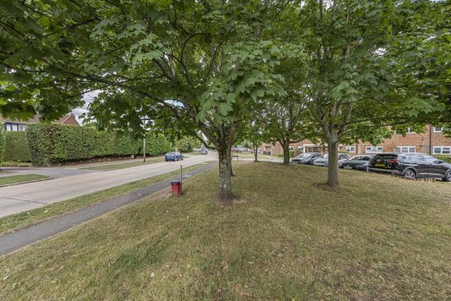 Photo Aug 14 2025...