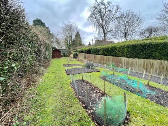 Vegetable Garden 