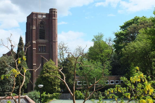 Photo 8