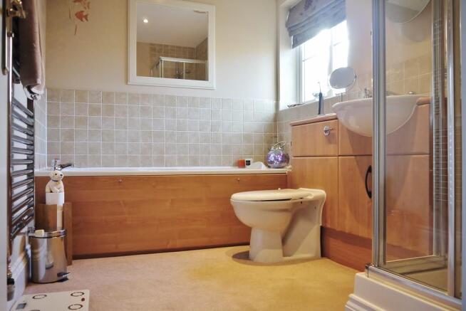 Photo 11