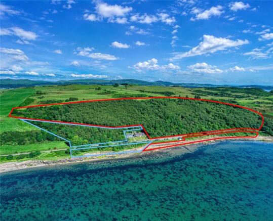 Fintry Bay Woods