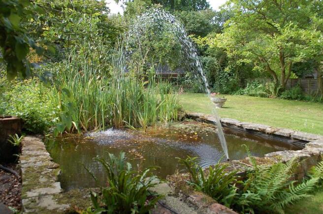 Pond in Garden