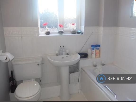 Bathroom (Top Floor Rear)