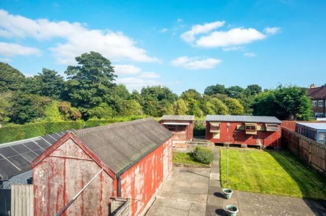 Back Garden