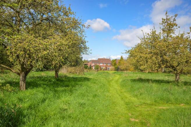 PADDOCK WITH FRUIT TREES