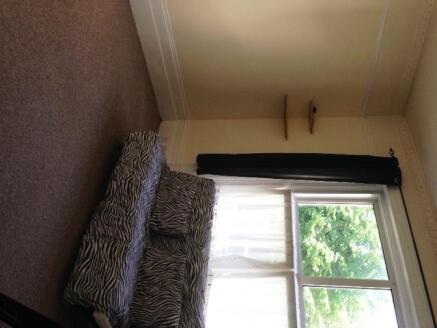 Studio Room