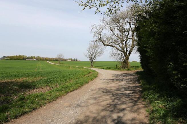 065 Road View.JPG