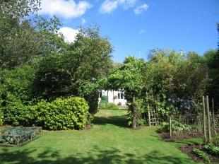 Garden2