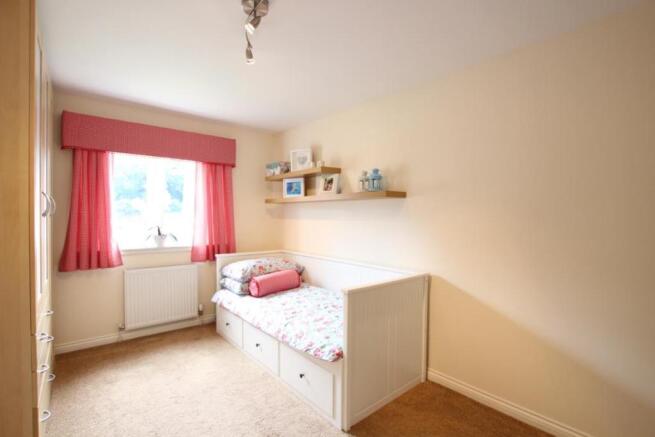 thumb_IMG_2007_1024 