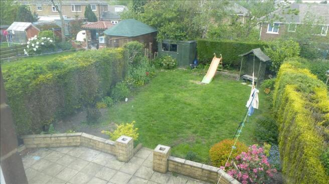 Photo 11