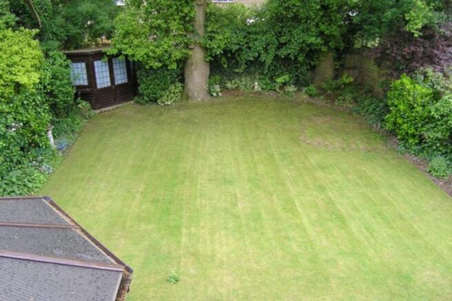Photo 11