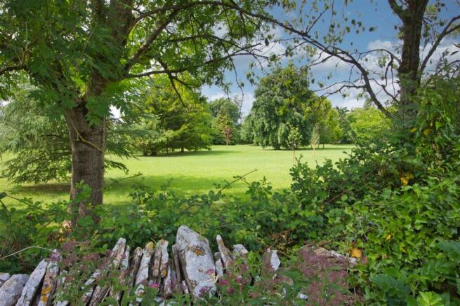 View from garden