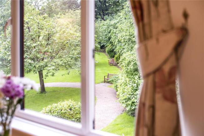 Living Room View