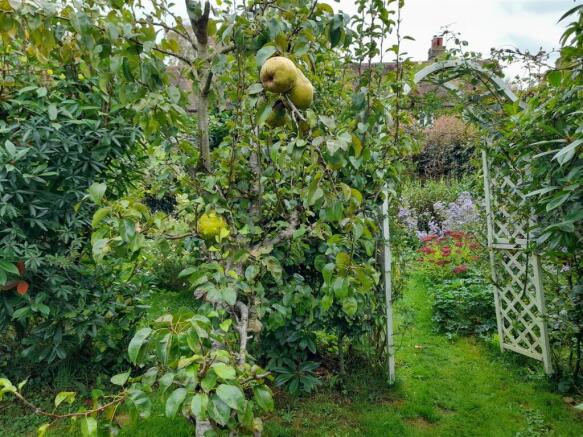 Rear garden 1.jpg