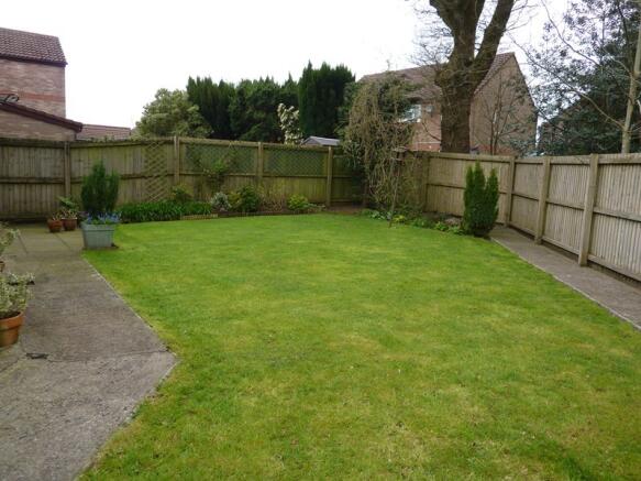 Photo 15